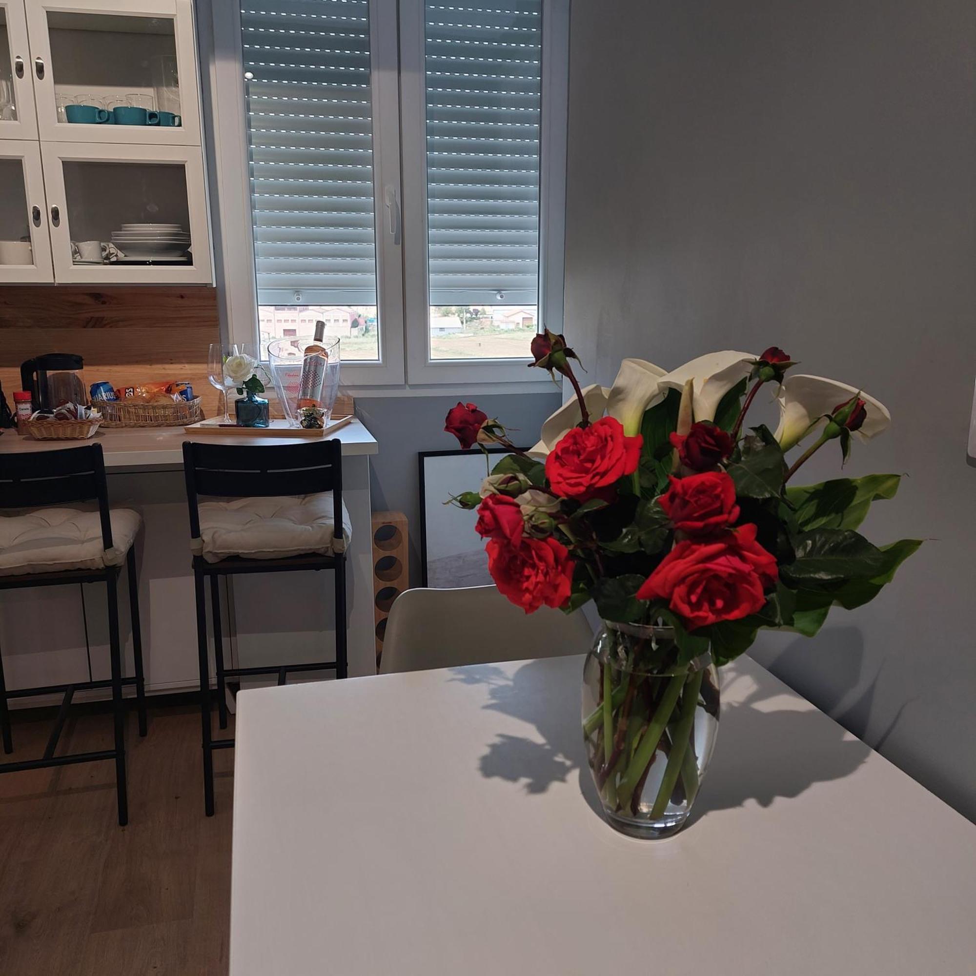 Apartamento Con Vistas A La Montana Oasis San Vicente de la Sonsierra Luaran gambar